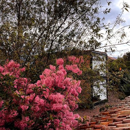 Casa Lloret クエンカ エクステリア 写真