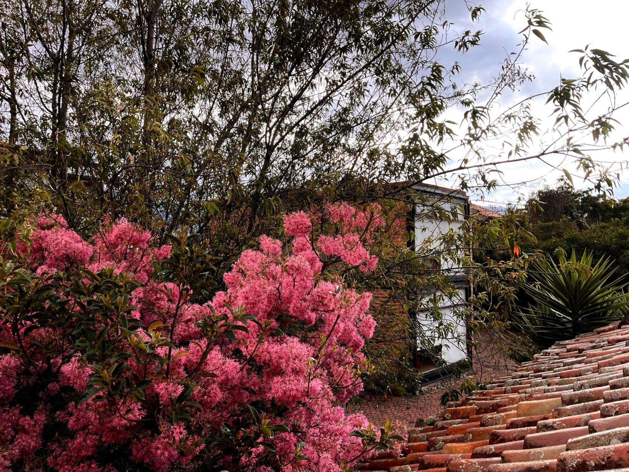 Casa Lloret クエンカ エクステリア 写真