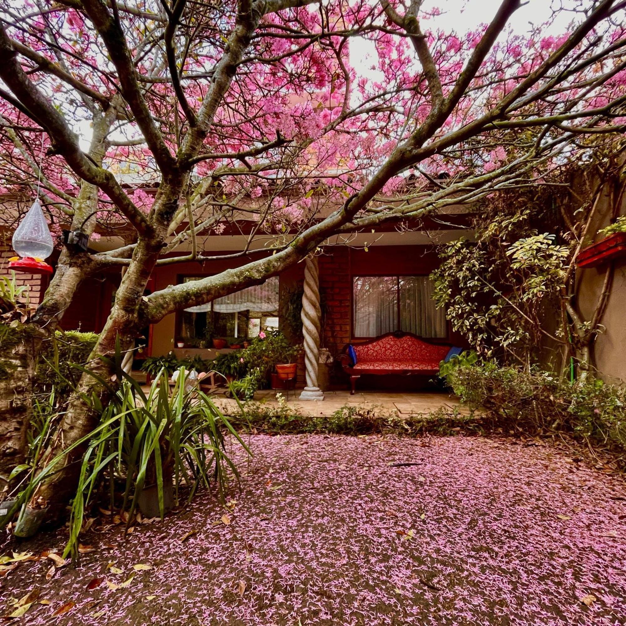 Casa Lloret クエンカ エクステリア 写真