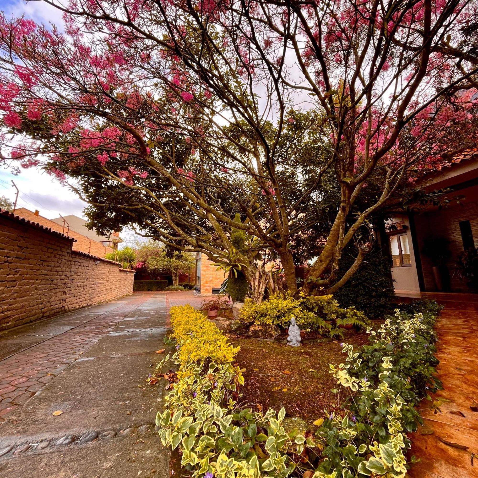 Casa Lloret クエンカ エクステリア 写真